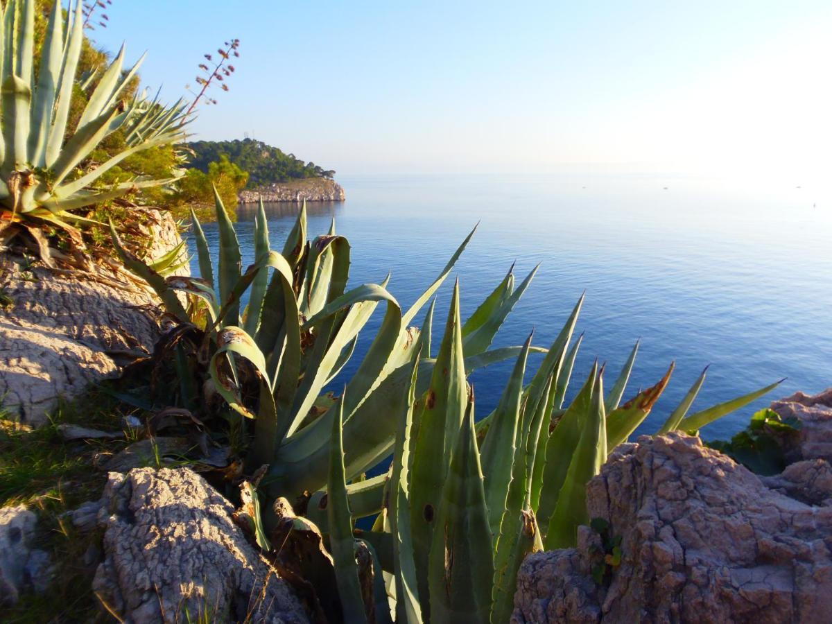 Apartment Burich Makarska Dış mekan fotoğraf